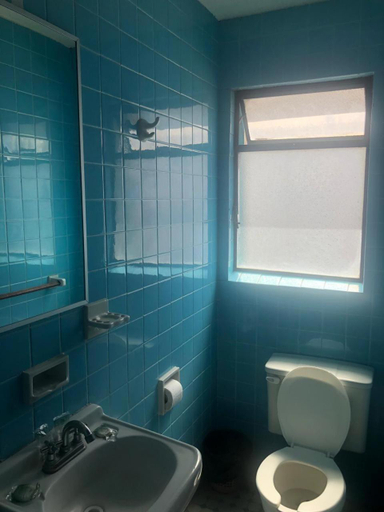 Bathroom, Hotel Occidental, Guadalajara