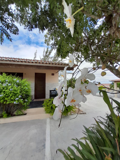 Exterior 2