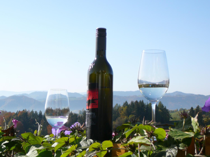 Food & Drinks 3, Weingut ADAM Amandus und Carmen, Leibnitz