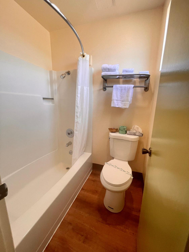 Bathroom 3, Regency Inn, Lake