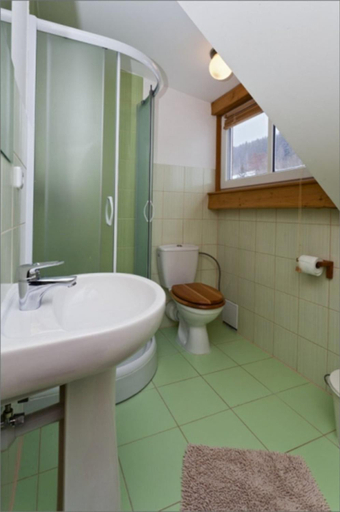 Bathroom 4, Penzion Marienka, Trutnov