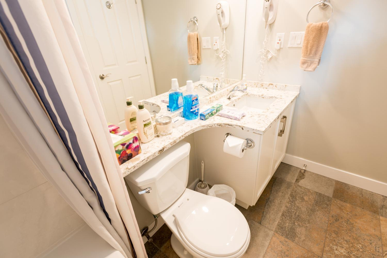 Bathroom 3, Alpenglow Lodge by Bill, Squamish-Lillooet