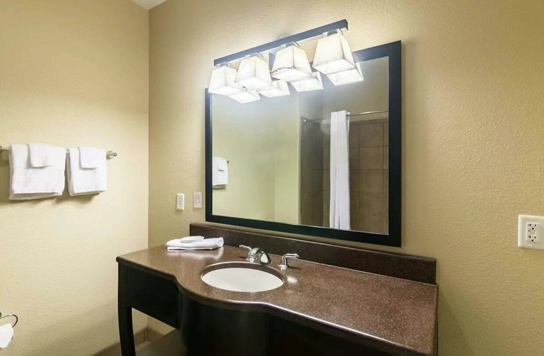 Bathroom, Econo Lodge Inn & Suites, Mitchell
