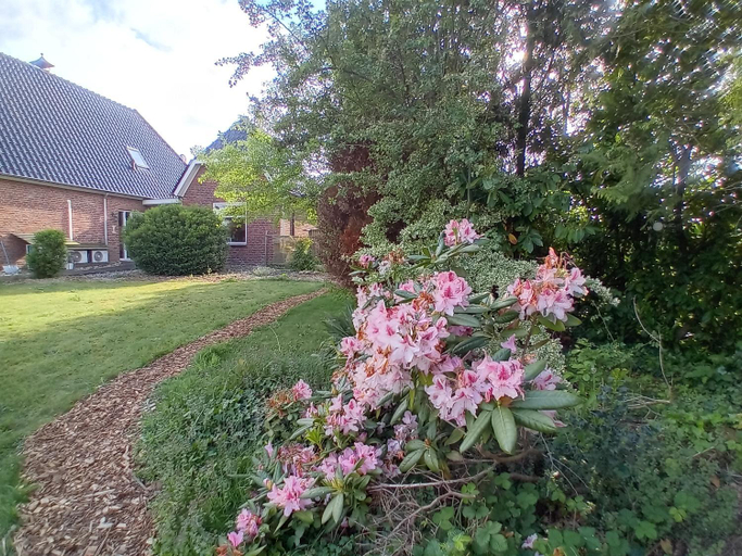 Others 5, Bed & Breakfast in ons Bakhuis, Apeldoorn