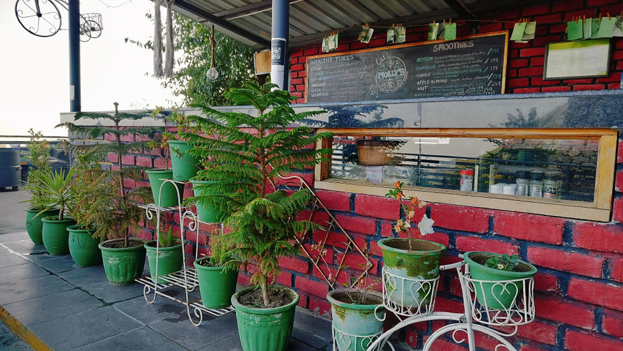 Food & Drinks, Hide Out Stays, Kangra