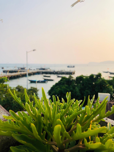 Others 4, Thu Trang Homestay Cu Lao Cham, Da Nang