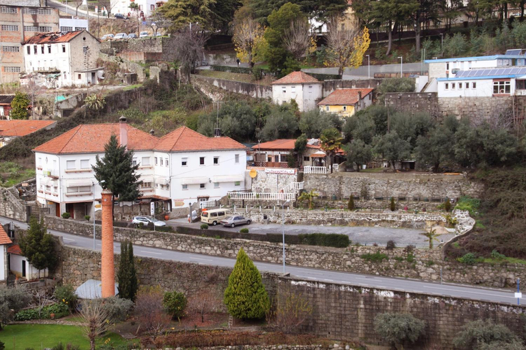 Others 5, Mikotania, Covilhã