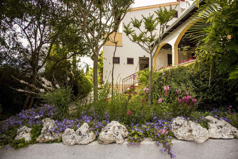 Exterior & Views 2, Apartments in Rovinj/istrien 11528, Rovinj