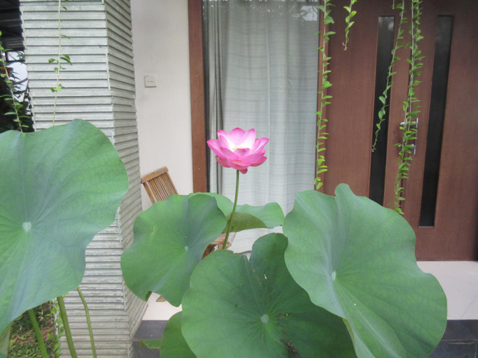 Rika Sanur Homestay, Denpasar