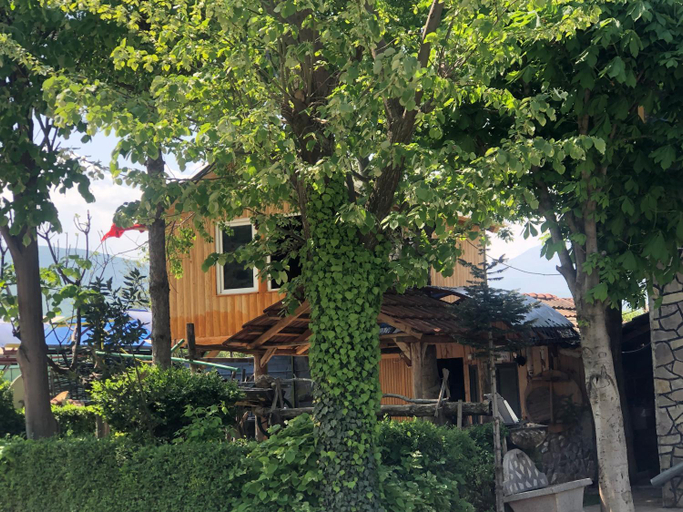 Bar restorant gashi, Kukësit