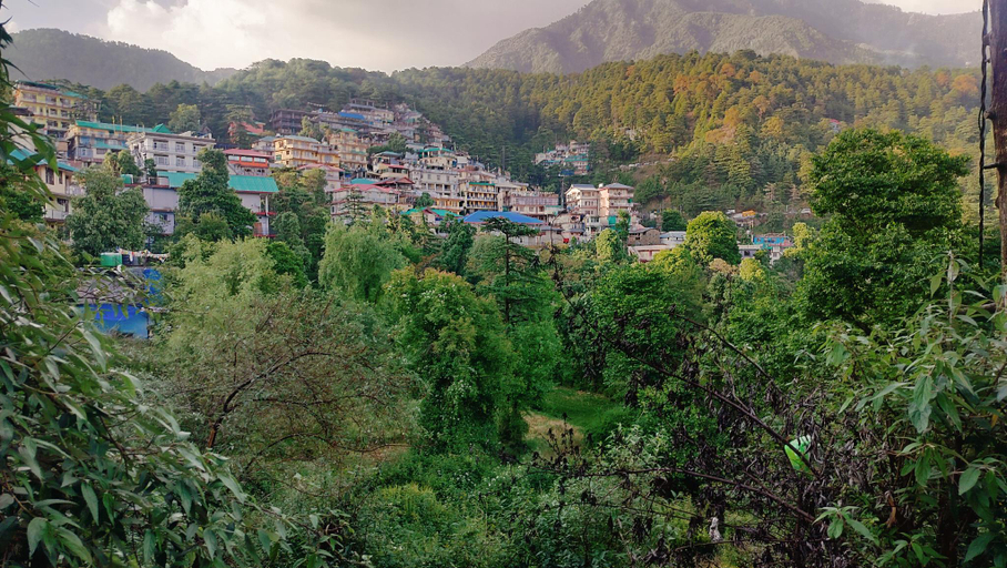 Others 4, Pine Wood Mcleodganj, Kangra