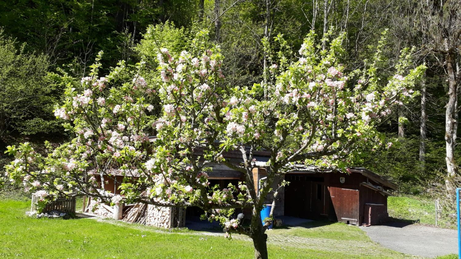 Others 3, Gastehaus Kurparkfrieden, Garmisch-Partenkirchen