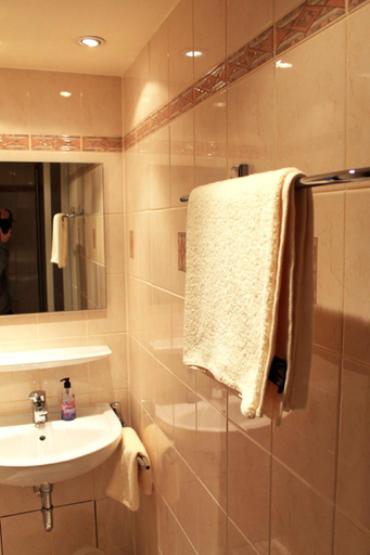 Bathroom 4, Hotel-Landgasthof Gruner Baum - Dittigheim, Main-Tauber-Kreis