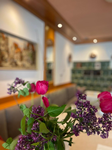 Others 4, Hotel Garni Brugger, Lindau (Bodensee)