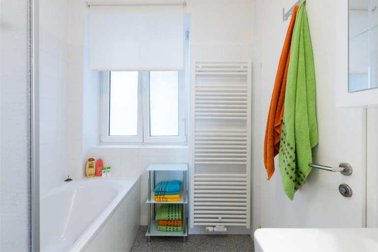 Bathroom 3, Apartment Rudolfsplatz, Wien
