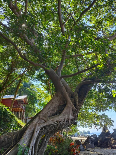Others 3, Kohjum Seafront Resort, Nua Khlong