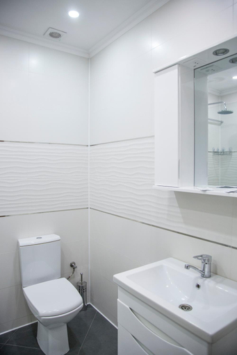 Bathroom 3, Mirage Hotel, Berehivs'kyi
