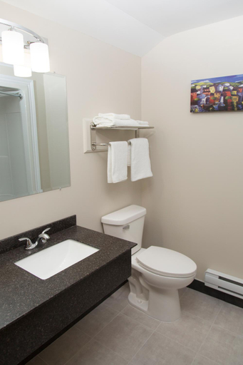 Bathroom 5, Hotel Robin Hood, Division No. 6