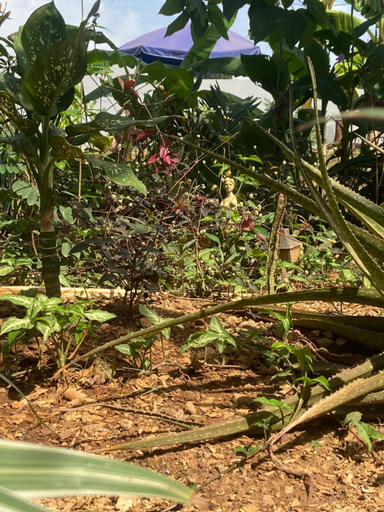 Others 3, Bruks Guest House, Kumasi