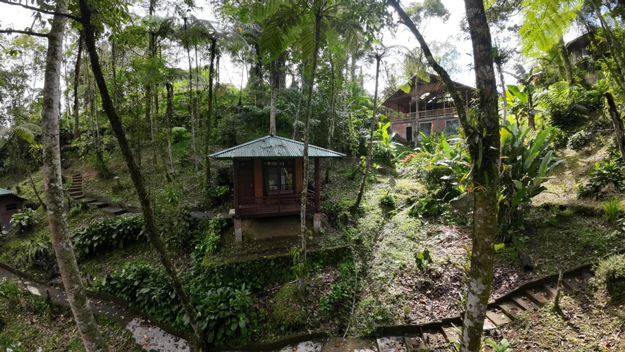 Scenery 9