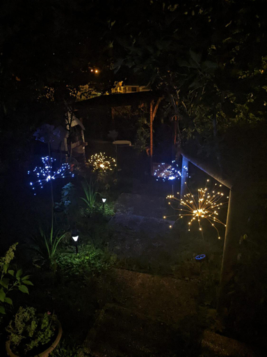 Others 5, Nel giardino di Oz, Parma