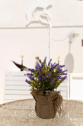 Others 4, "Salento d'incanto" - Suites con Piscine Idromassaggio, Lecce