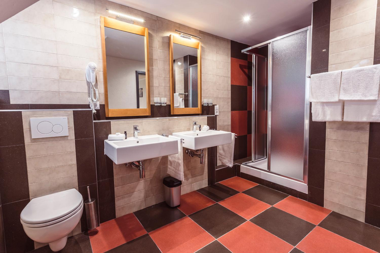 Bathroom 5, Hotel Roma, Ortenaukreis