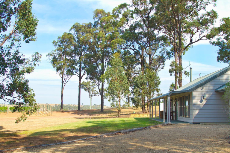 Others 2, RidgeView, Singleton