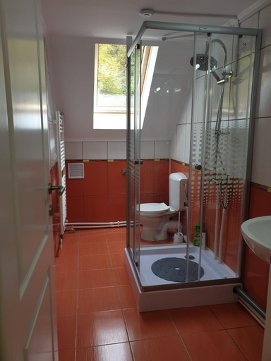 Bathroom 3, Casa Aris Lepsa Vrancea, Tulnici