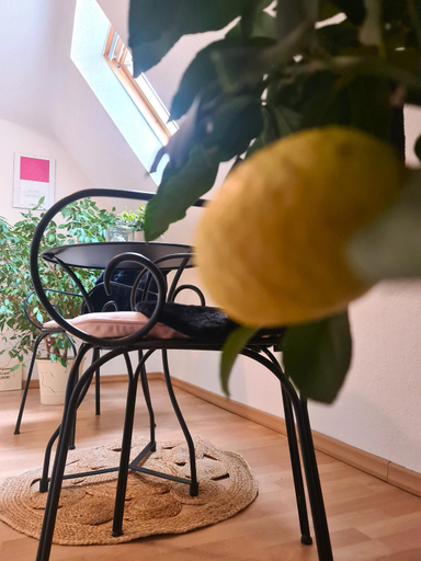 Others 5, Gastehaus Zum Weinbauer, Südliche Weinstraße