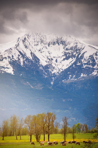 Others 4, SUN VALLEY Holiday Apartments, Zell am See