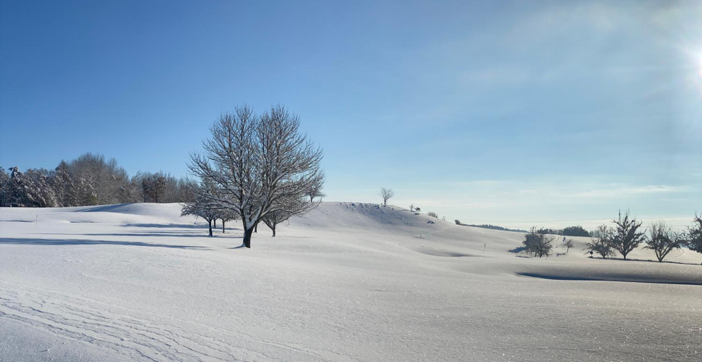 Scenery 8