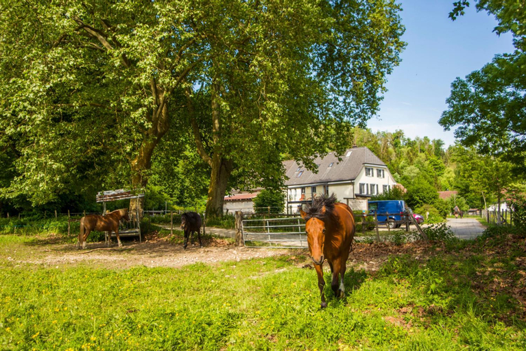 La Ferme du Bonheur - Chez l'Gaby, Porrentruy