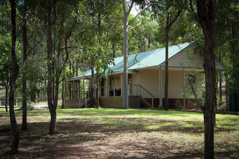 Others 5, RidgeView, Singleton
