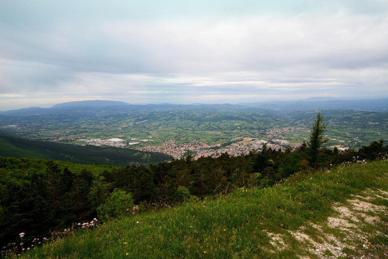 Scenery