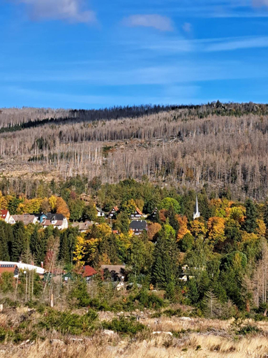 Others 2, Haus Erna Schierke, Harz