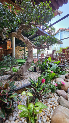 Others 5, Phoenix Hotel An Bang Beach, Da Nang
