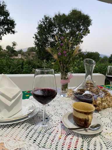 Others 4, Villa Meta - Welcoming You with Byrek & Traditional Meals, Tepelenës