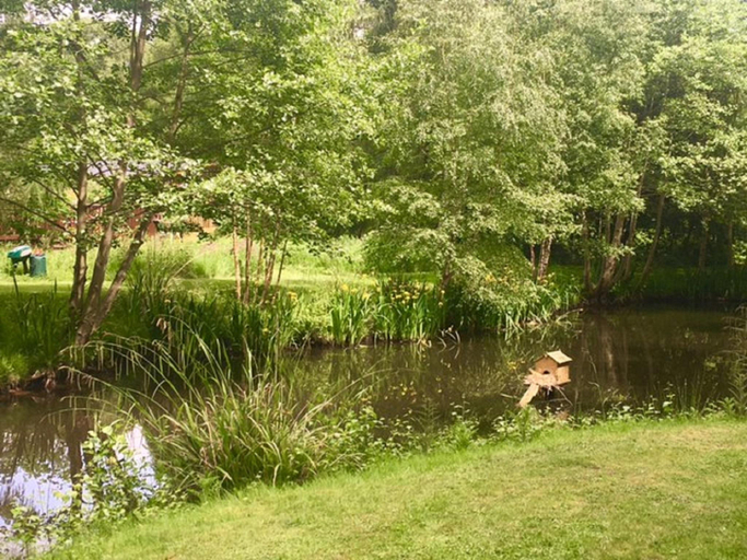 Others 5, Hollicarrs - Gingerlily, North Yorkshire