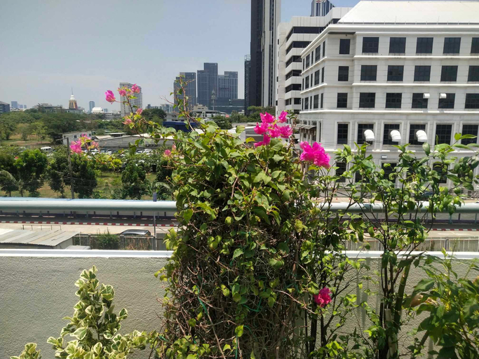 Others 4, Skutan inn, Phra Khanong