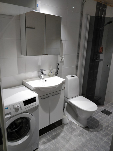 3, Siljonportti Apartments with private Sauna, Lapland