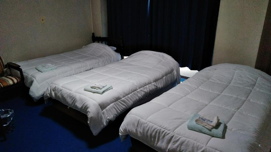 Bedroom 4, Business Hotel Takanoya, Hadano