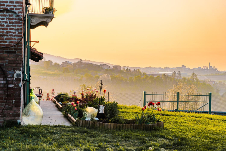 Others 3, Bed & Breakfast Barbera e Tulipani, Asti
