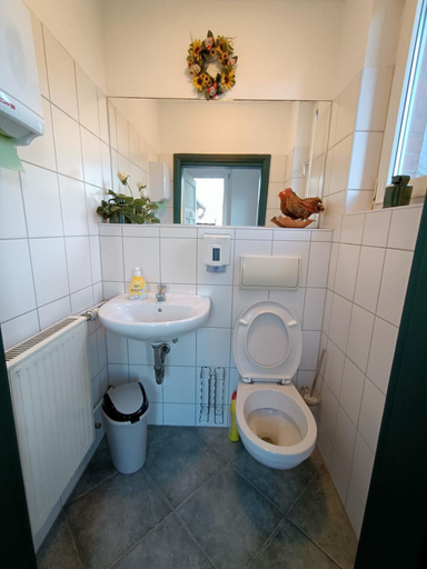 Bathroom 3, Altenmedinger Hof, Uelzen