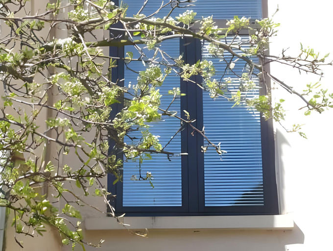 Others 5, Chambres d'hotes Les Capucins, Nord