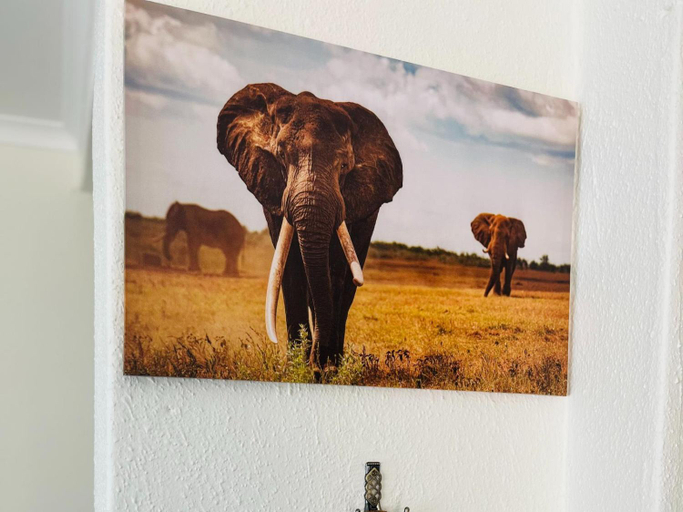 Others 4, Khubonye Royal Guesthouse, City of Johannesburg