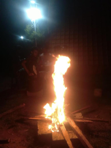 Green hut house, Vellore