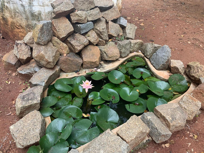 Woodside Resort and Cafe, Vellore