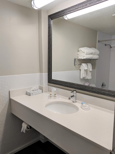 Bathroom 5, RED CARPET INN LAKE GEORGE, Warren