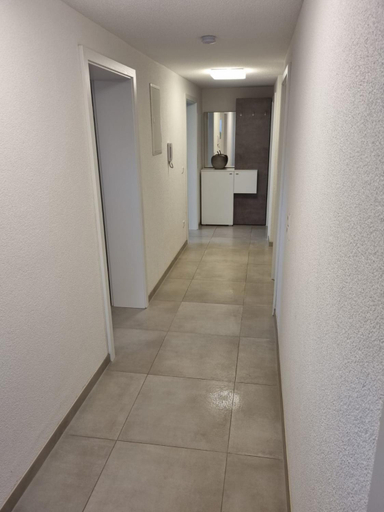 Others 4, Minalya Home, Waldshut